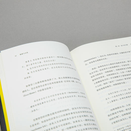 敏感与自我  [德]斯文娅·弗拉斯珀勒 商品图4