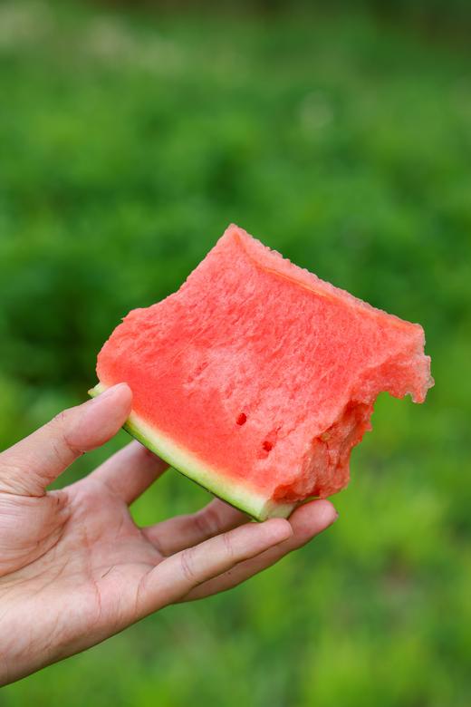 甘美4K 西瓜 产自西瓜之乡” 江苏东台（瓜籽少，果肉酥脆甜爽） 商品图7