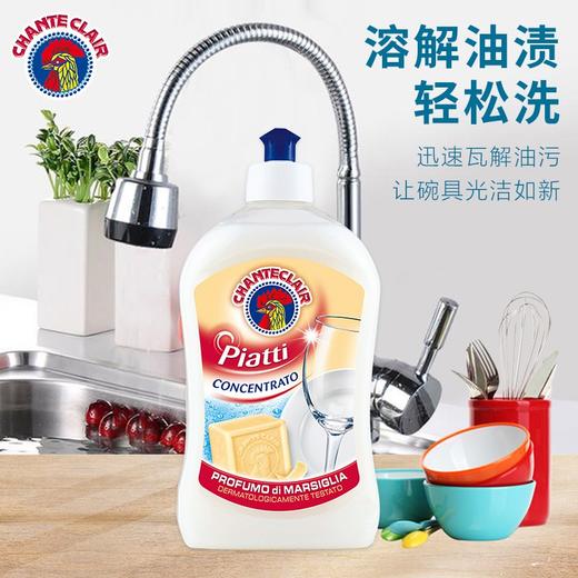 【严选】大公鸡管家浓缩洗洁精500ml*2瓶（厂家直发） 商品图1