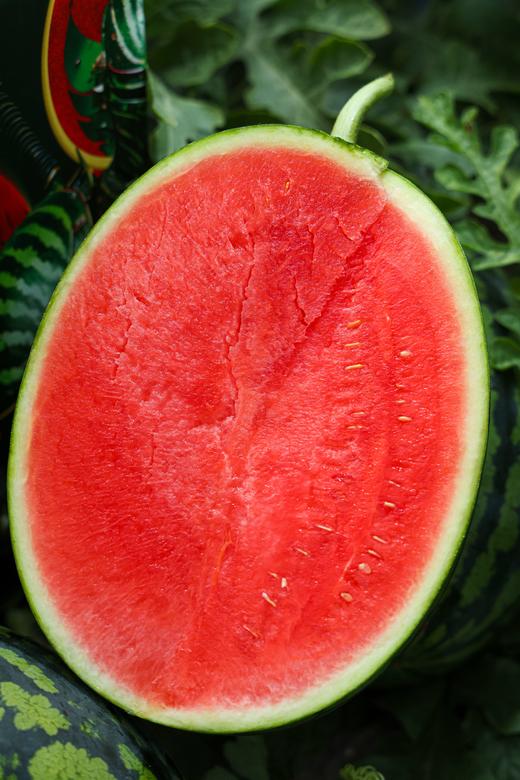 甘美4K 西瓜 产自西瓜之乡” 江苏东台（瓜籽少，果肉酥脆甜爽） 商品图5