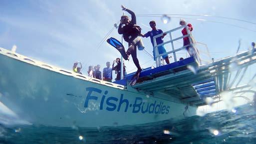 8月4日-8月9日，菲律宾妈妈岛 潜水6天4晚9潜，6799元/人！ 商品图0