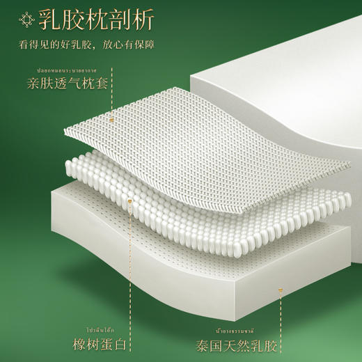 泰嗨TAIHI 93%天然乳胶枕 护颈枕 透气枕 泰国原装进口 人体工学设计 商品图3