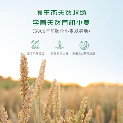 元溢慷有机儿童面200g 商品图8