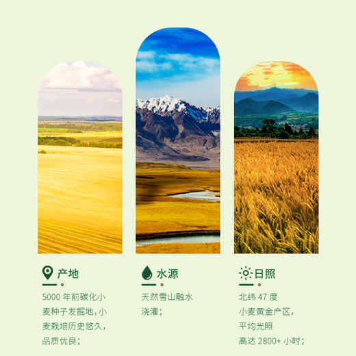 元溢慷有机儿童面200g 商品图1