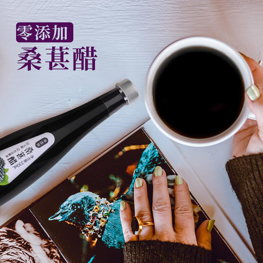*上水井桑葚醋原浆配料干净果醋零脂肪黑桑葚调味330ml 瓶装 商品图2