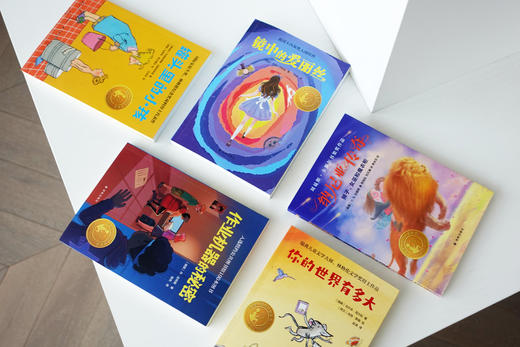 【小译林国际大奖童书第二辑 套装 专家导读 名家翻译 彩色插图】 商品图2