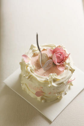 招牌 | 山茶花荔枝