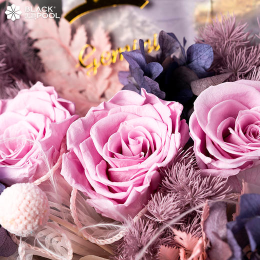 （限龙华龙岗光明配送）永生守护花，所有与爱有关的事物 都在此刻生长（双子） 商品图1