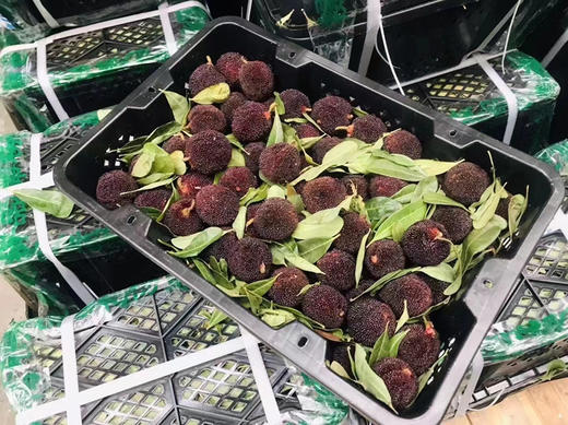 【云南高山✈️杨梅——口感浓郁、鲜味十足、杨梅风味浓郁！当季时令 商品图11