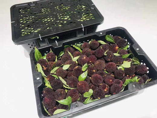 【云南高山✈️杨梅——口感浓郁、鲜味十足、杨梅风味浓郁！当季时令 商品图9