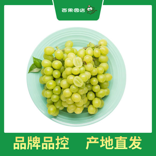 PAGODA百果园 A级-阳光玫瑰青提（中果）3斤礼盒装 商品图1