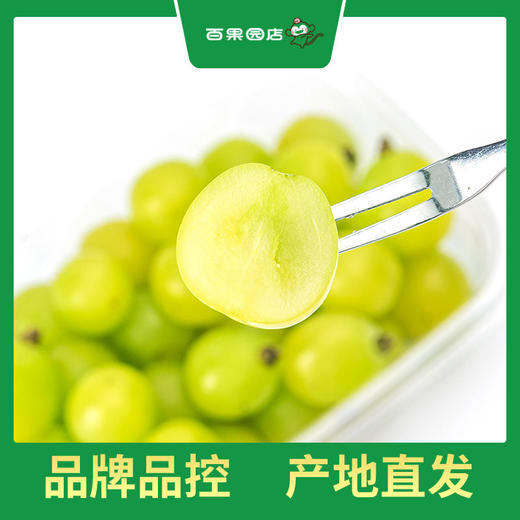 PAGODA百果园 A级-阳光玫瑰青提（中果）3斤礼盒装 商品图3