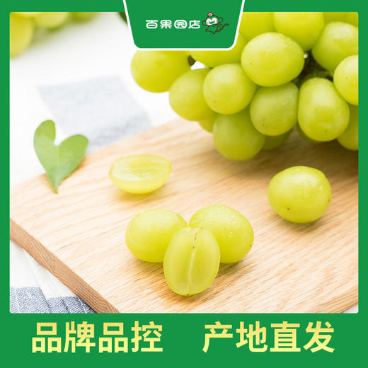 PAGODA百果园 A级-阳光玫瑰青提（中果）3斤礼盒装 商品图2