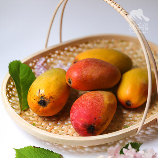 有机元江芒果 | 合作生产 *Organic mango | Partner Production 商品图4