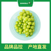 PAGODA百果园 A级-阳光玫瑰青提（中果）3斤礼盒装 商品缩略图0
