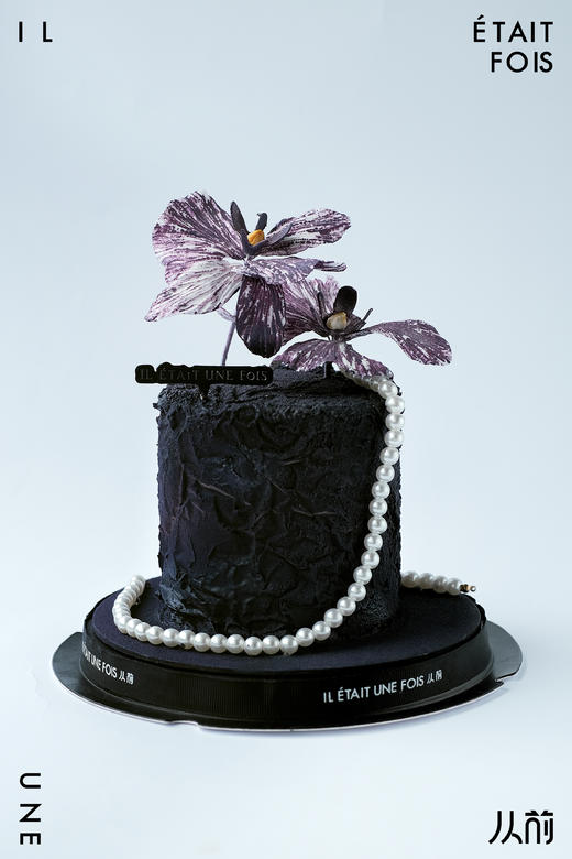 蝴蝶兰 商品图1