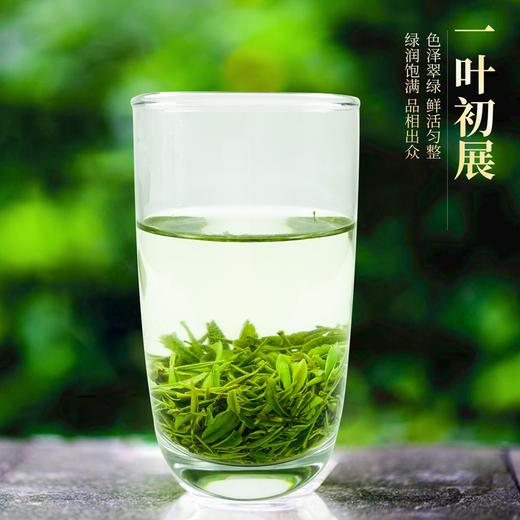 【严选】伍家台硒茶初展250g/袋（厂家直发） 商品图1