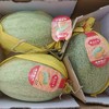 晓蜜哈密瓜（4.8元1斤，约5斤/个） 商品缩略图1