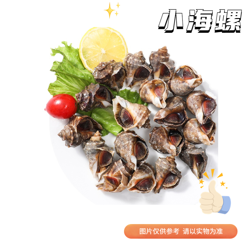【鲜活】大中海螺  1斤8-12个左右（送货路上不保活）