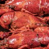 【中号】鲤妤 麻辣小龙虾600g 【全球ASC认证】 商品缩略图8