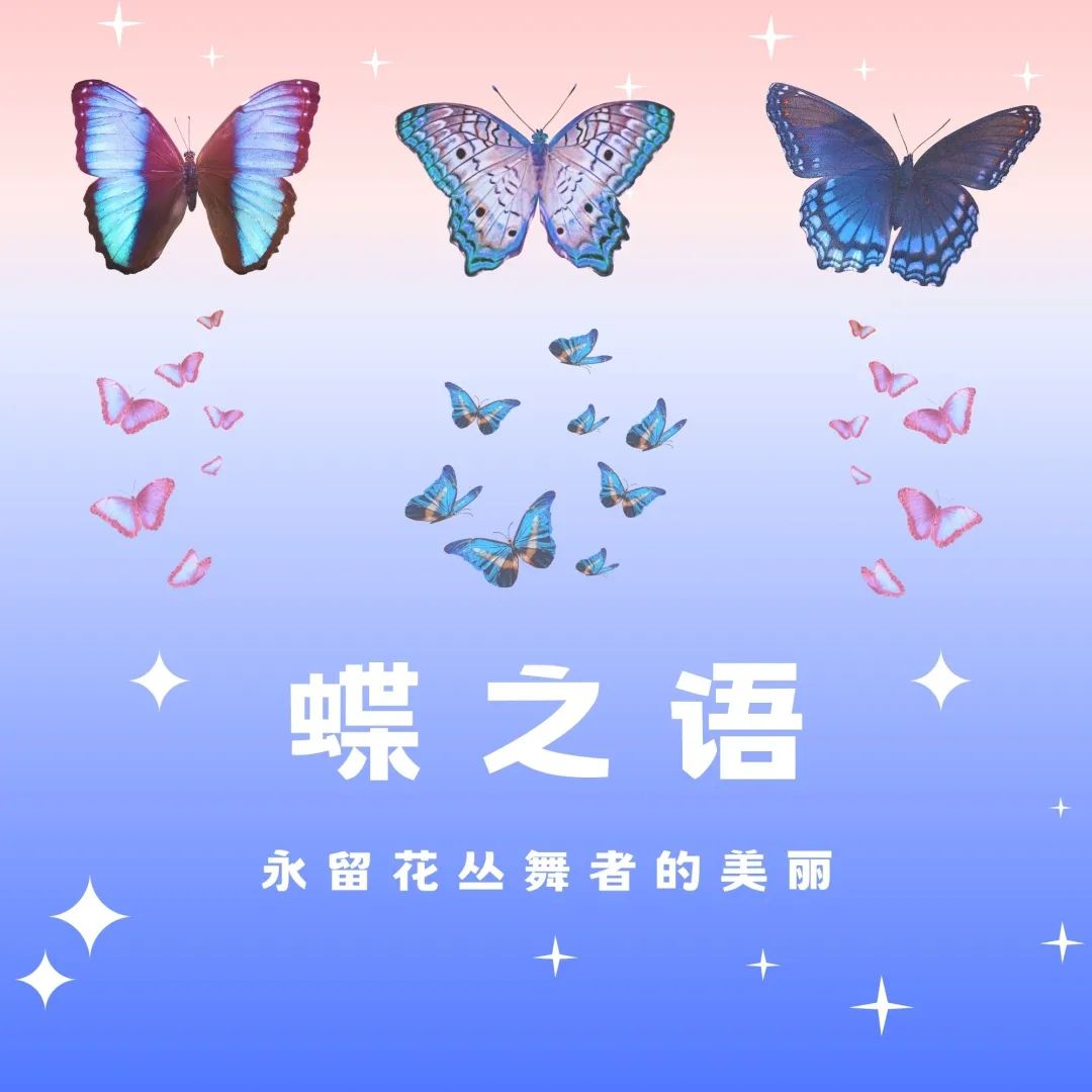 重庆自然资源科普馆 | 【蝶之语】