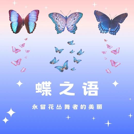 重庆自然资源科普馆 | 【蝶之语】 商品图0