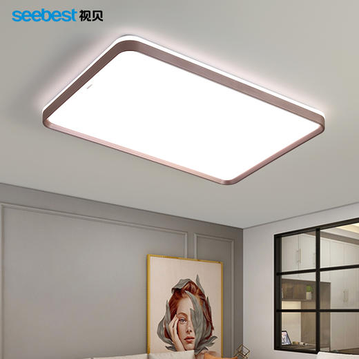 紫韵长方-客厅灯  （停产无库存） 商品图2