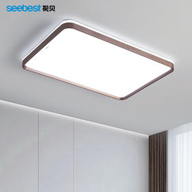 紫韵长方-客厅灯  （停产无库存）