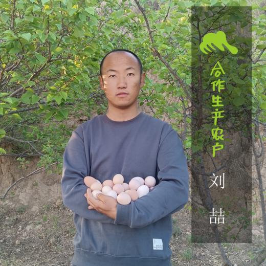 生态老母鸡（河北） | 合作生产 *Eco-hens | Partner Production 商品图1