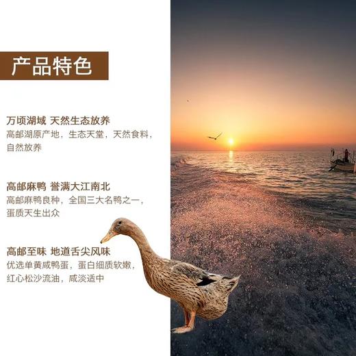 【高邮鸭集团】高邮咸鸭蛋80g*20枚装 商品图6