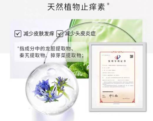 舒蕾SLEKPRO水润控油去屑头皮舒缓洗发水强韧修护洗发露430ml效期26年9月 商品图6