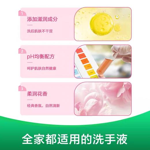 滴露 抑菌洗手液 滋润倍护 500g 商品图2