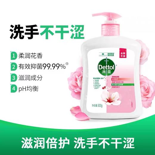 滴露 抑菌洗手液 滋润倍护 500g 商品图1