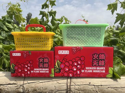新疆葡萄吐鲁番无核玻璃翠葡萄 商品图2
