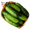 东北旱黄瓜约500동북오이500그람좌우 商品缩略图0