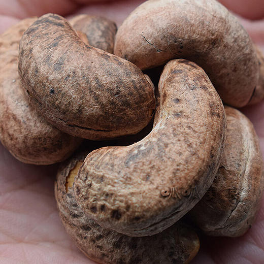 越南八婆原味腰果400g/罐（8A) 商品图4