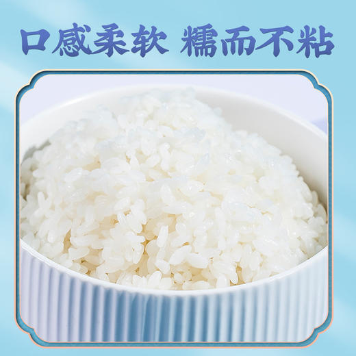 隆平芯米 辽河基地东北盐碱地大米2.5kg/5kg 商品图1