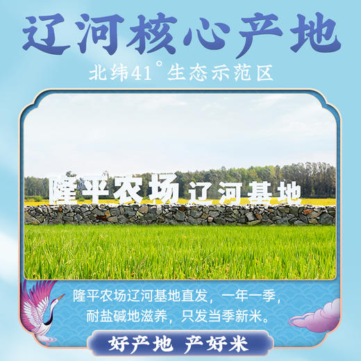 隆平芯米 辽河基地东北盐碱地大米2.5kg/5kg 商品图2