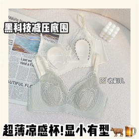 【龙贝莱精选】蕾丝超薄款兔耳朵软支撑内衣女无痕聚拢大胸显小收副乳防下垂文胸H232276958