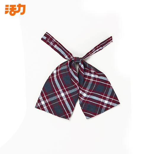 深圳礼服中小学夏冬季礼服领结领花 商品图6