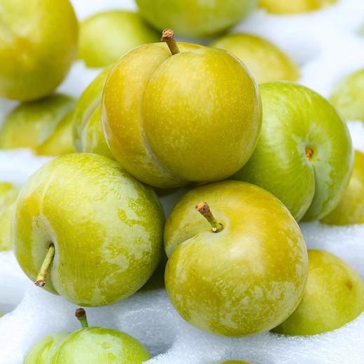 【核小肉厚 脆甜多汁】蜂糖李 500g/份 商品图0