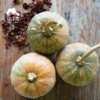 生态香蜜南瓜 | 绿家自产*Ecological pumpkin | Self-production 商品缩略图1