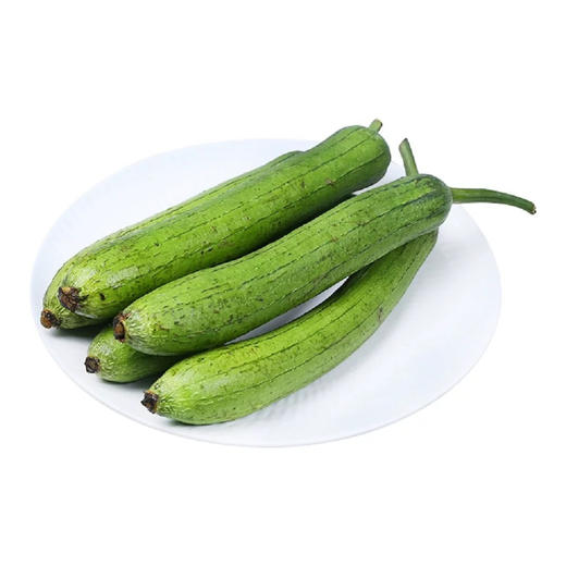 有机丝瓜 500g 商品图5
