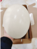 鸵鸟蛋一个 商品缩略图1