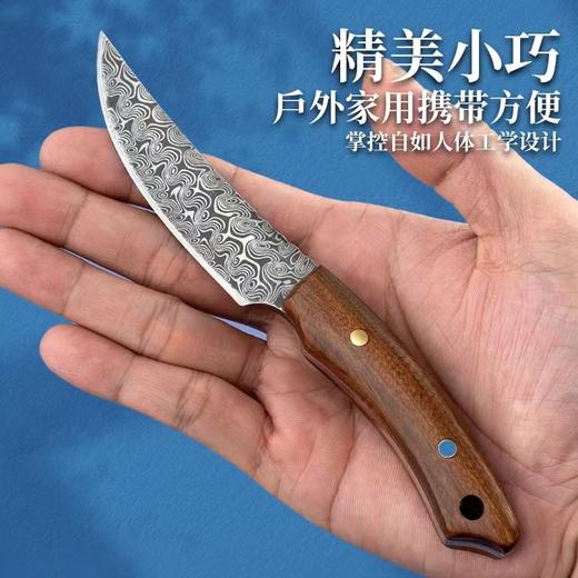 （微信互动有礼）单拍不发货 大马士革手把肉刀蒙古手把肉专用刀藏族刀具专业吃羊肉餐小刀羊排（未开刃） 商品图1
