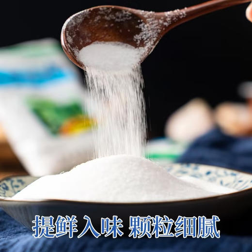 精纯盐【500g】 商品图3