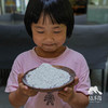 生态红薯淀粉（四川） | 合作生产*Eco-Sweet Potato Starch| Coproduction 商品缩略图1