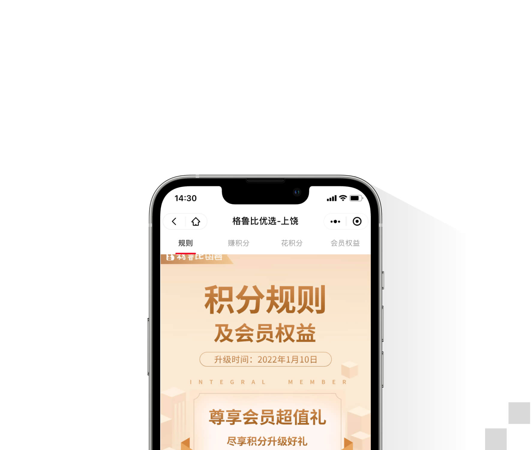 精细化会员运营
让客户买更多、买更久