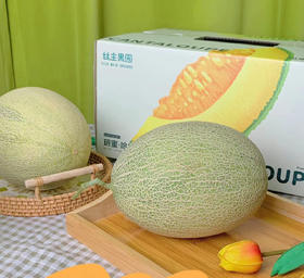 新疆 哈密瓜 6斤左右2颗