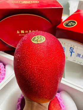 【预售】🇯🇵宫崎太阳之子芒果——真正的瓜熟蒂落，果肉柔软，细腻且多汁。